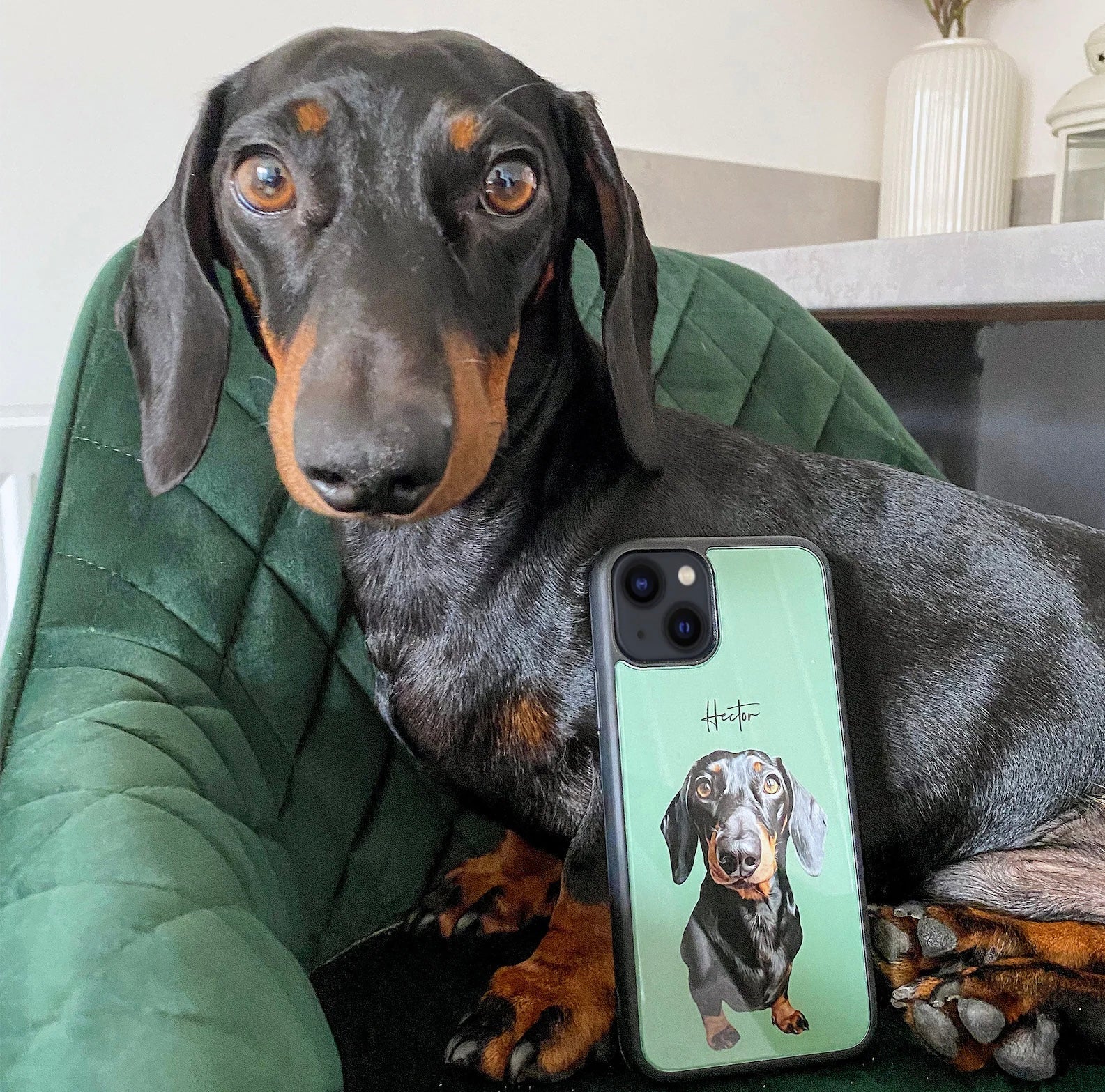Custom Pet Portrait Phone Case - iPhone & Samsung Galaxy - cmzart