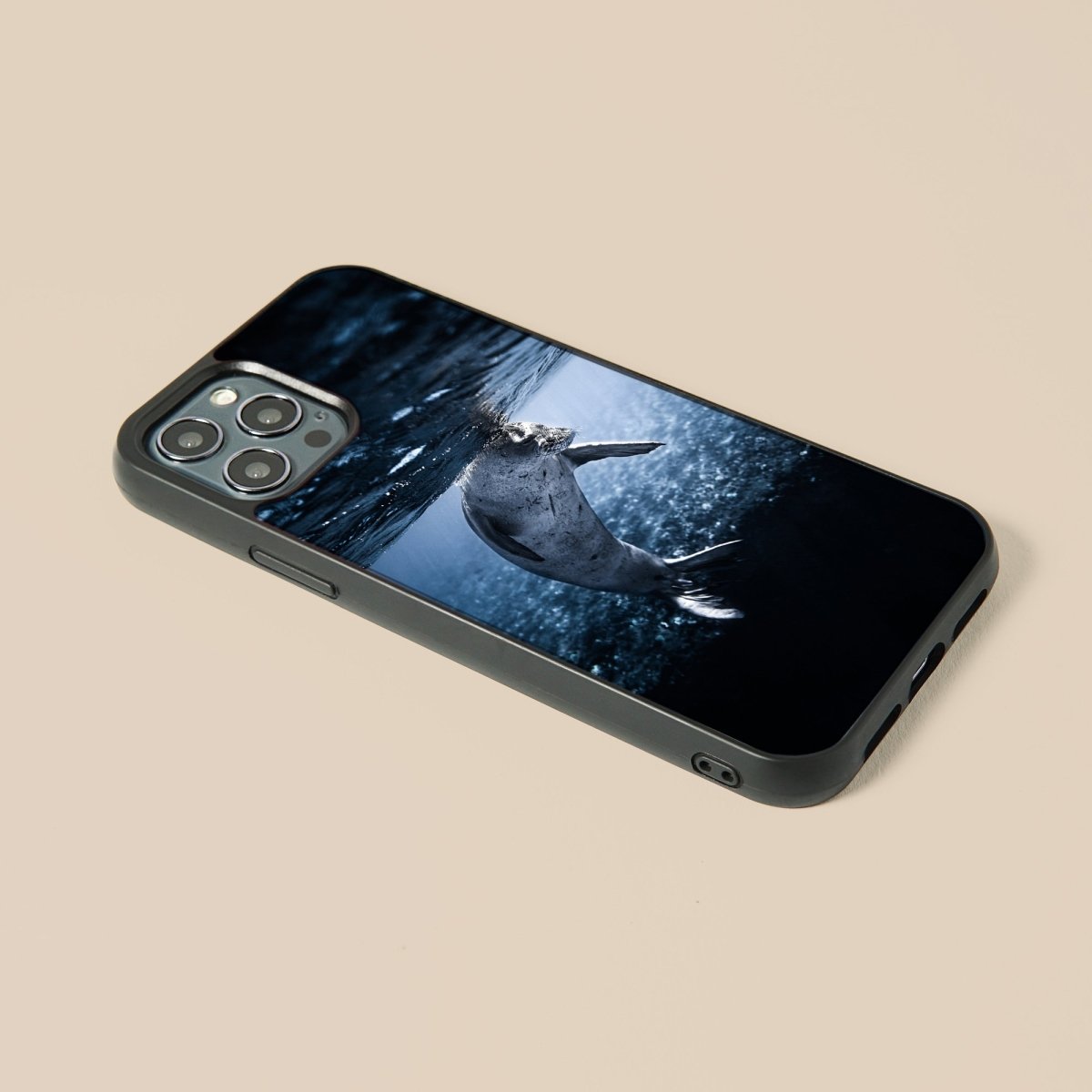 Seals - Glass Phone Case - cmzart