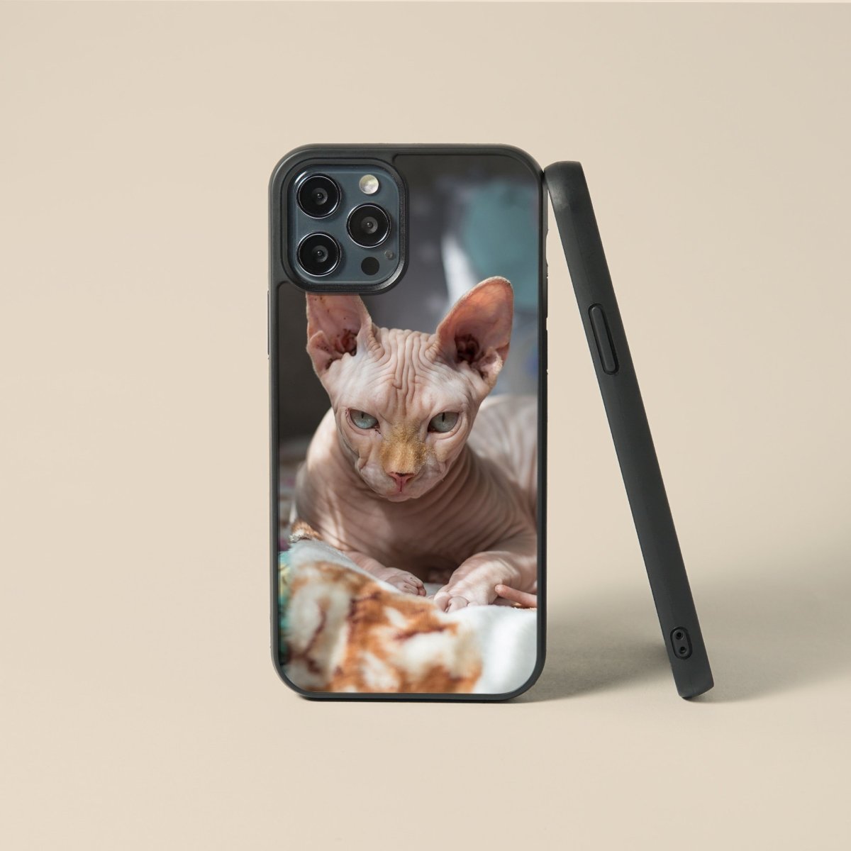 Sphynx Cat, Tempered Glass iPhone Case - cmzart