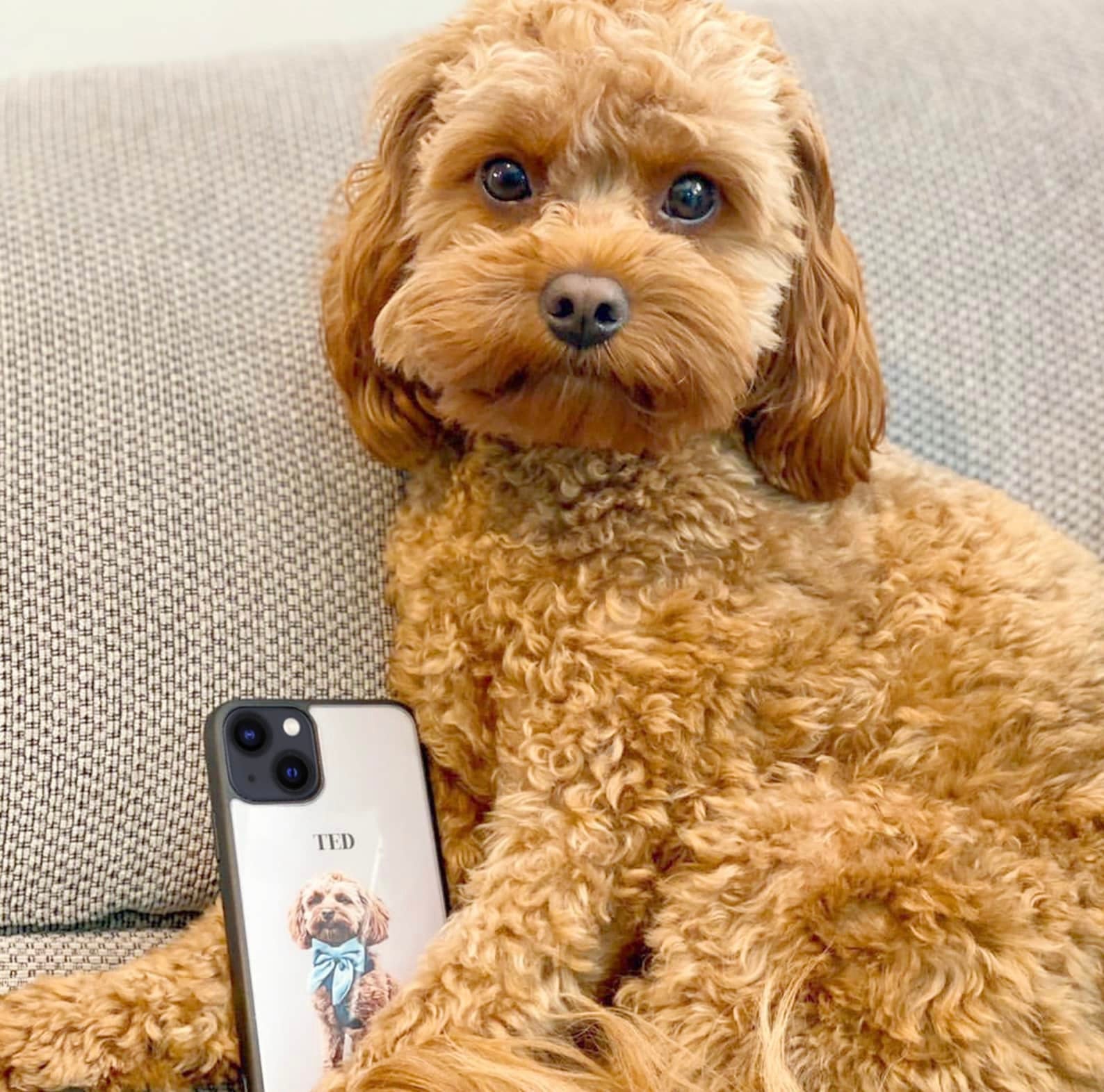 Custom Pet Portrait Phone Case - iPhone &amp; Samsung Galaxy