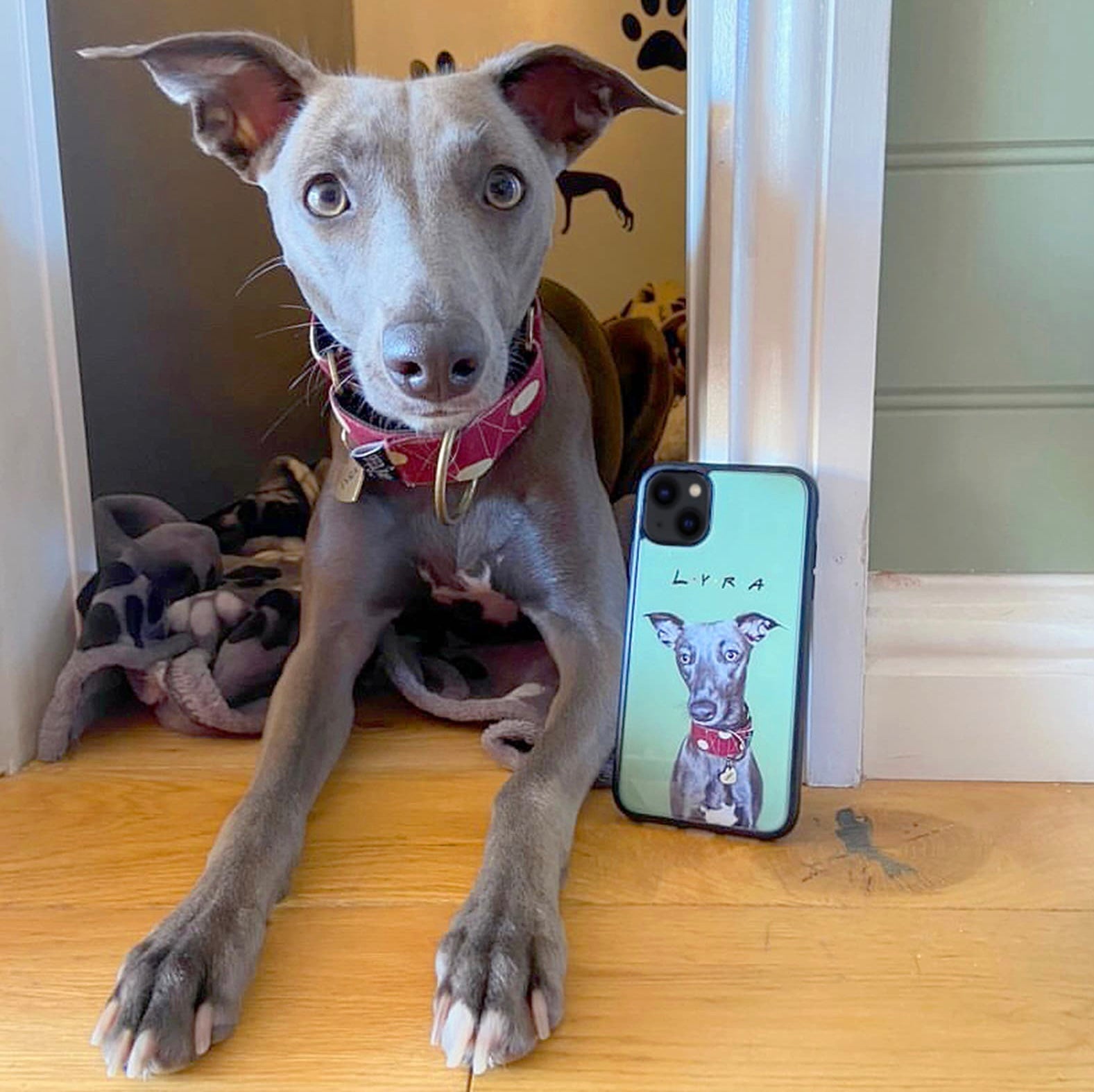Custom Pet Portrait Phone Case - iPhone &amp; Samsung Galaxy
