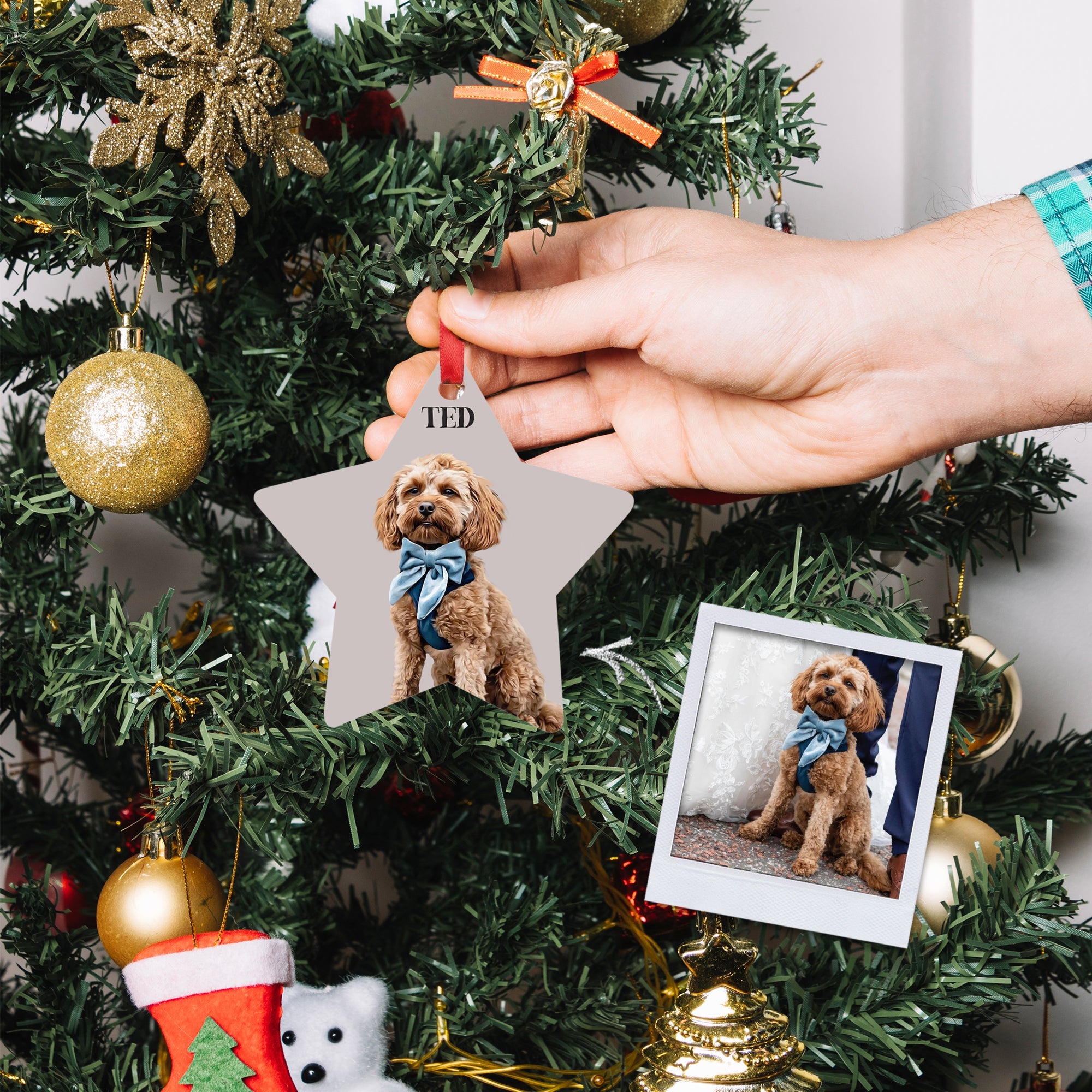 Custom Pet Christmas Ornament - Christmas Bauble &amp; Tree Decoration - cmzart