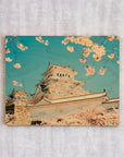 HIMEJI CASTLE WITH SPRING CHERRY BLOSSOMS, JAPAN - cmzart