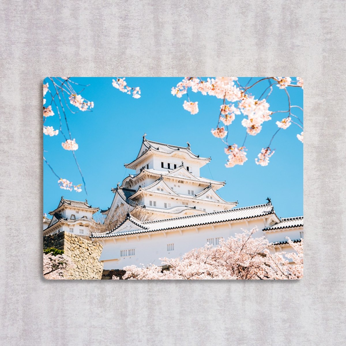 HIMEJI CASTLE WITH SPRING CHERRY BLOSSOMS, JAPAN - cmzart
