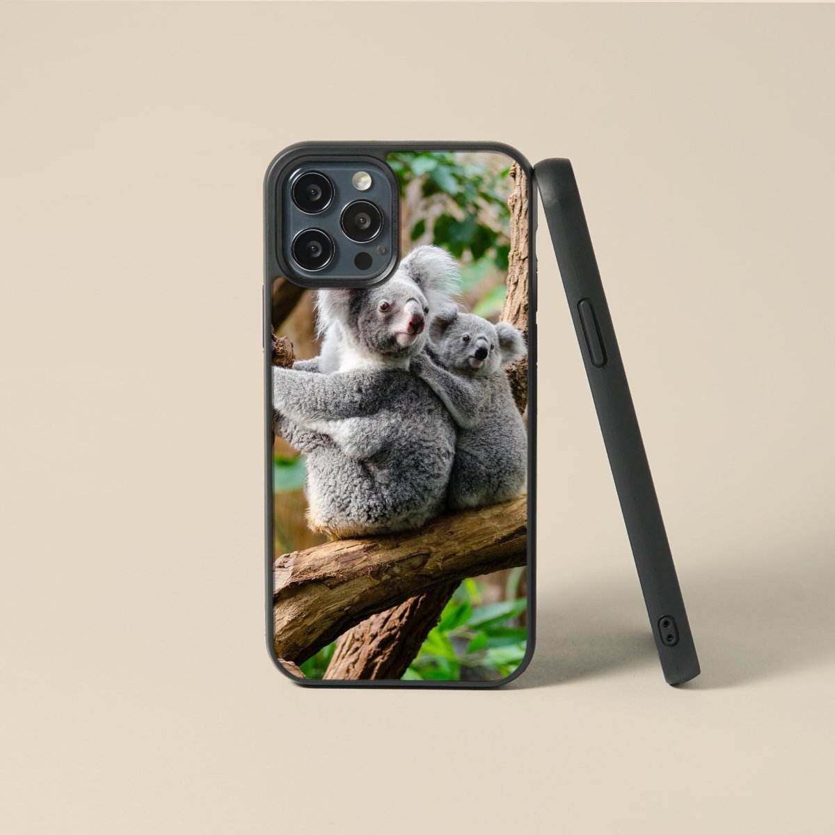 Koala Bear - Glass Phone Case - cmzart