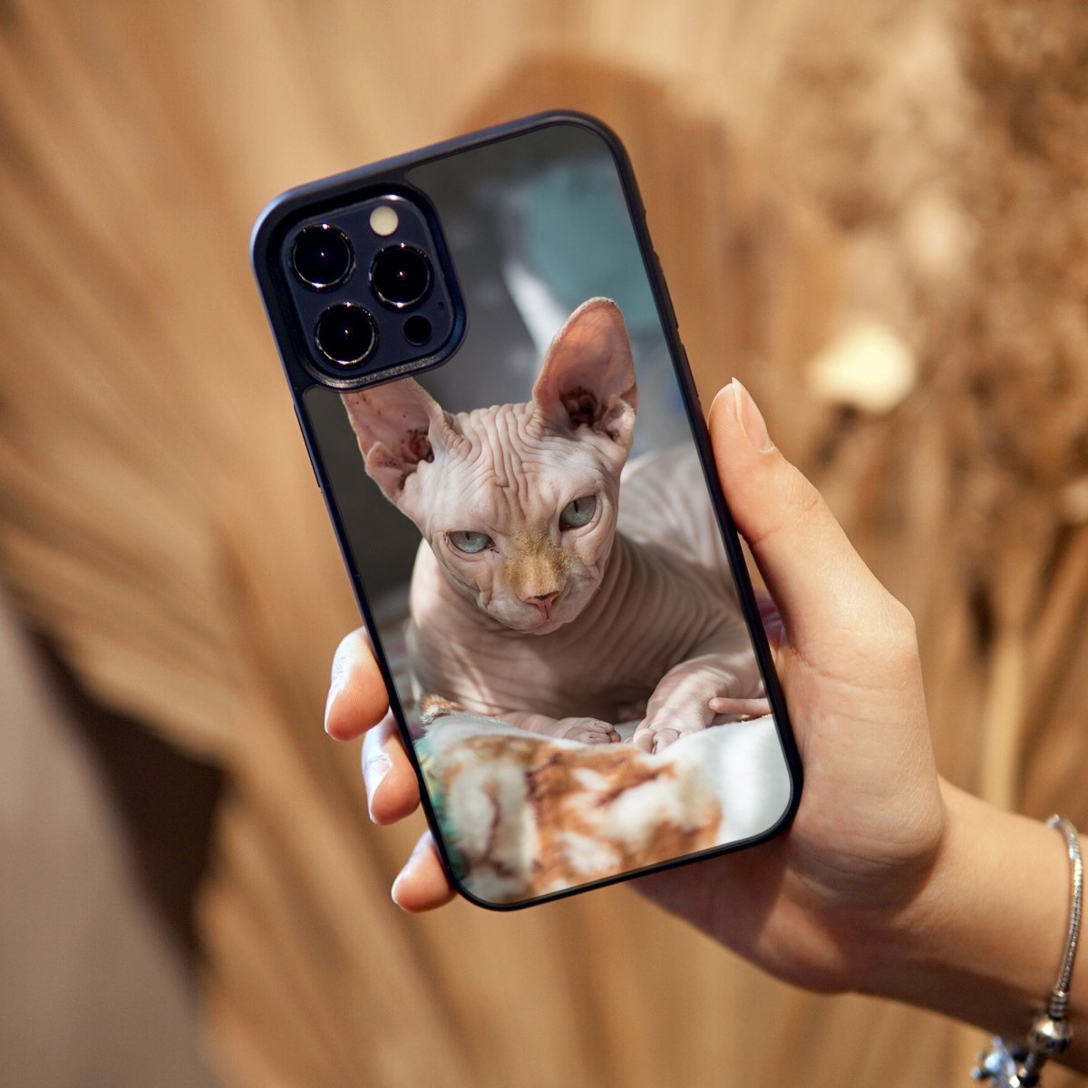 Sphynx Cat, Tempered Glass iPhone Case - cmzart
