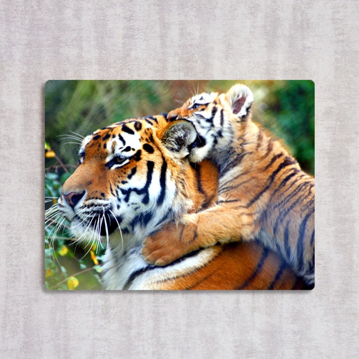 Tiger Love - cmzart