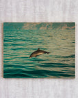 YOUNG WILD AND FREE DOLPHIN - cmzart
